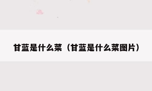 甘蓝是什么菜（甘蓝是什么菜图片）