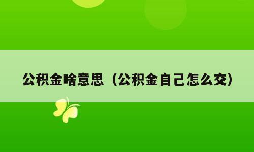 公积金啥意思（公积金自己怎么交）