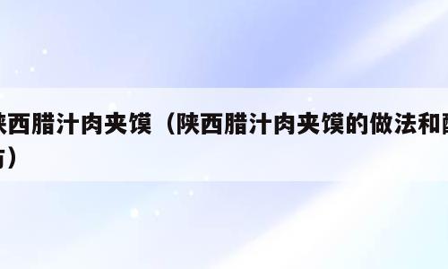 陕西腊汁肉夹馍（陕西腊汁肉夹馍的做法和配方）