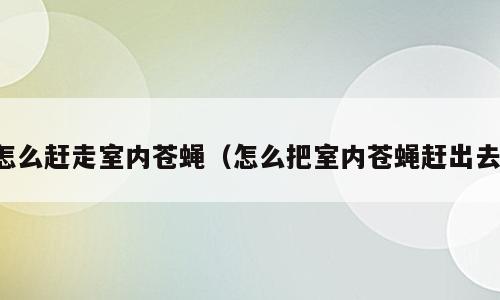 怎么赶走室内苍蝇（怎么把室内苍蝇赶出去）