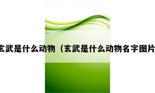 玄武是什么动物（玄武是什么动物名字图片）