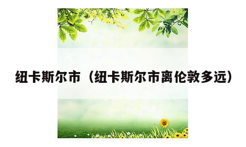纽卡斯尔市（纽卡斯尔市离伦敦多远）