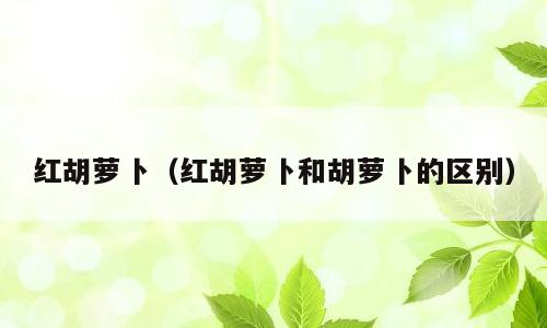 红胡萝卜（红胡萝卜和胡萝卜的区别）