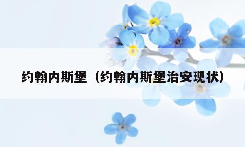 约翰内斯堡（约翰内斯堡治安现状）
