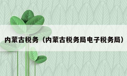 内蒙古税务（内蒙古税务局电子税务局）