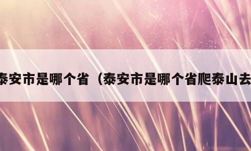 泰安市是哪个省（泰安市是哪个省爬泰山去）