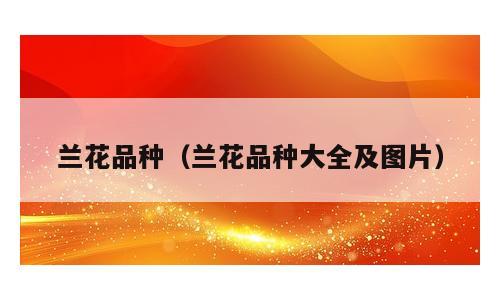 兰花品种（兰花品种大全及图片）