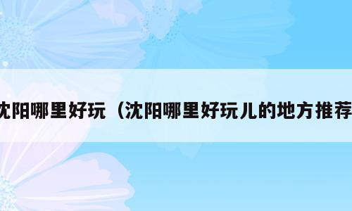 沈阳哪里好玩（沈阳哪里好玩儿的地方推荐）