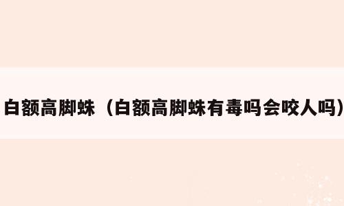 白额高脚蛛（白额高脚蛛有毒吗会咬人吗）