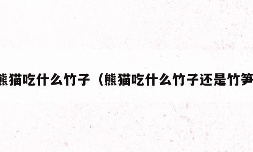 熊猫吃什么竹子（熊猫吃什么竹子还是竹笋）