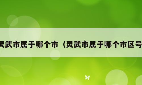 灵武市属于哪个市（灵武市属于哪个市区号）