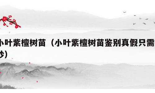 小叶紫檀树苗（小叶紫檀树苗鉴别真假只需3秒）