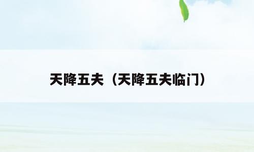 天降五夫（天降五夫临门）