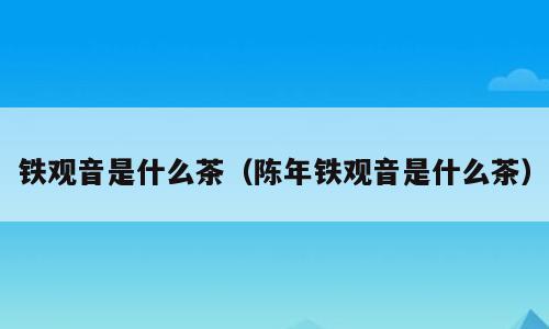 铁观音是什么茶（陈年铁观音是什么茶）