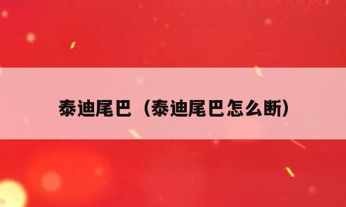泰迪尾巴（泰迪尾巴怎么断）