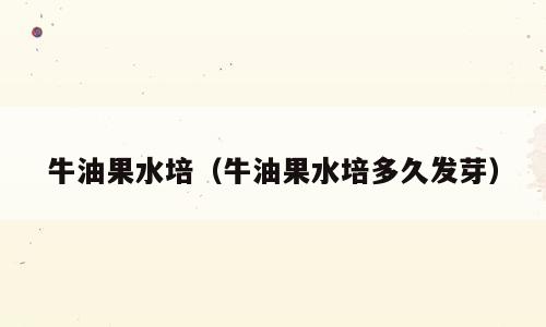 牛油果水培（牛油果水培多久发芽）