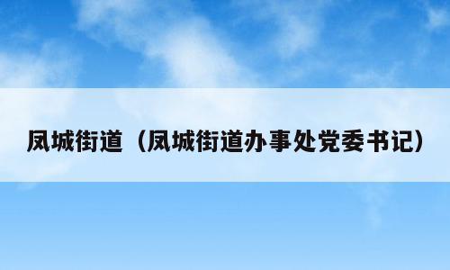 凤城街道（凤城街道办事处党委书记）