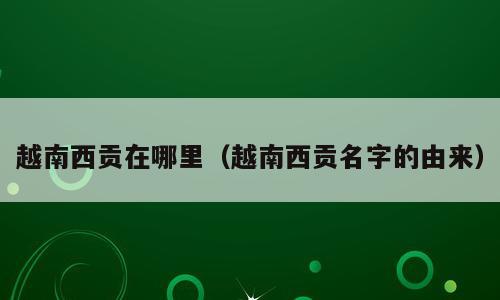 越南西贡在哪里（越南西贡名字的由来）