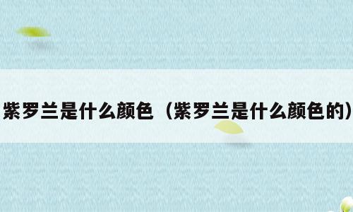 紫罗兰是什么颜色（紫罗兰是什么颜色的）