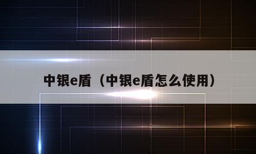 中银e盾（中银e盾怎么使用）