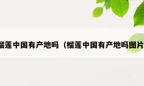 榴莲中国有产地吗（榴莲中国有产地吗图片）