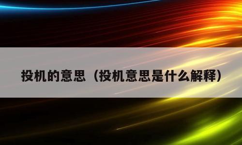 投机的意思（投机意思是什么解释）
