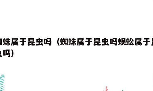 蜘蛛属于昆虫吗（蜘蛛属于昆虫吗蜈蚣属于昆虫吗）