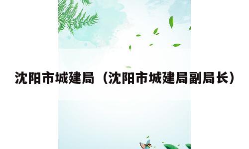 沈阳市城建局（沈阳市城建局副局长）