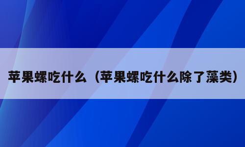 苹果螺吃什么（苹果螺吃什么除了藻类）