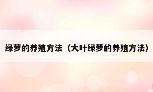 绿萝的养殖方法（大叶绿萝的养殖方法）