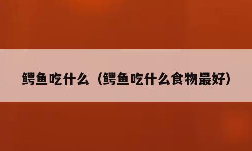 鳄鱼吃什么（鳄鱼吃什么食物最好）
