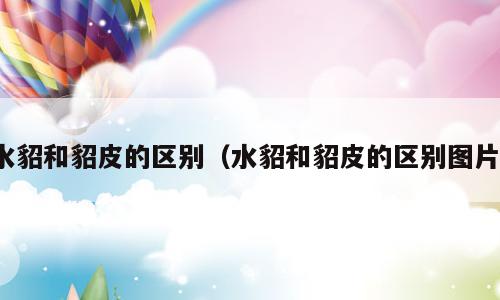水貂和貂皮的区别（水貂和貂皮的区别图片）