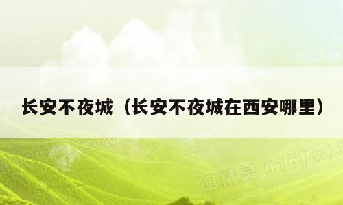 长安不夜城（长安不夜城在西安哪里）