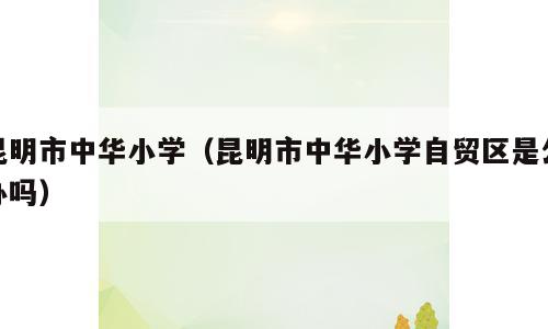 昆明市中华小学（昆明市中华小学自贸区是公办吗）
