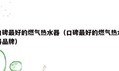口碑最好的燃气热水器（口碑最好的燃气热水器品牌）