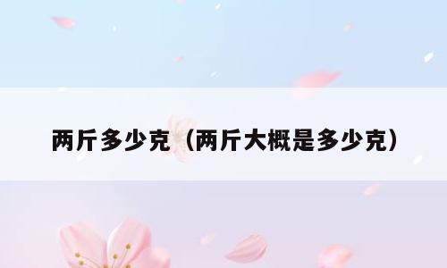 两斤多少克（两斤大概是多少克）