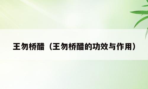 王勿桥醋（王勿桥醋的功效与作用）