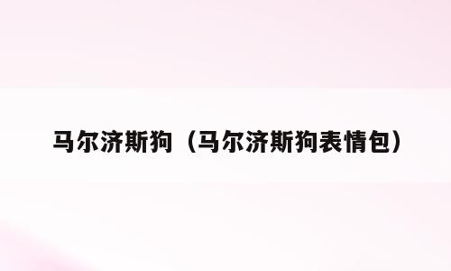 马尔济斯狗（马尔济斯狗表情包）