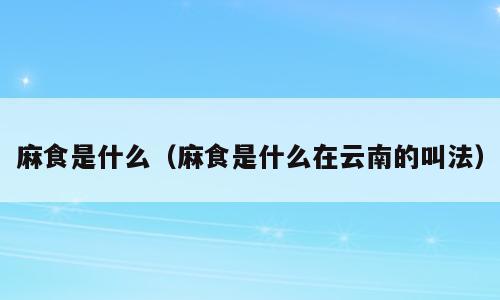 麻食是什么（麻食是什么在云南的叫法）