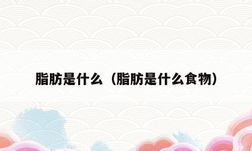 脂肪是什么（脂肪是什么食物）