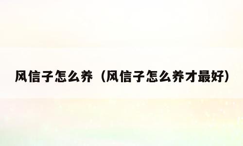风信子怎么养（风信子怎么养才最好）