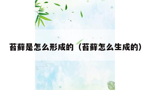 苔藓是怎么形成的（苔藓怎么生成的）