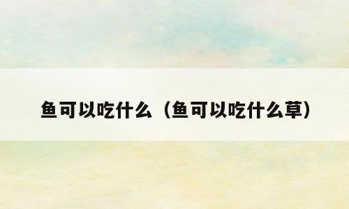 鱼可以吃什么（鱼可以吃什么草）