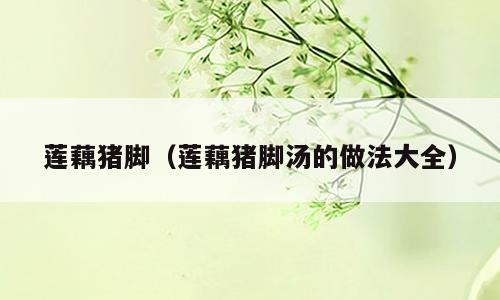 莲藕猪脚（莲藕猪脚汤的做法大全）