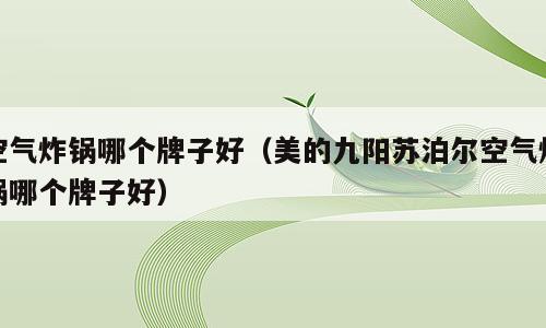 空气炸锅哪个牌子好（美的九阳苏泊尔空气炸锅哪个牌子好）