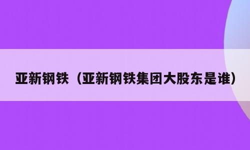 亚新钢铁（亚新钢铁集团大股东是谁）