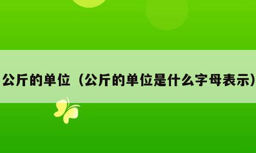 公斤的单位（公斤的单位是什么字母表示）