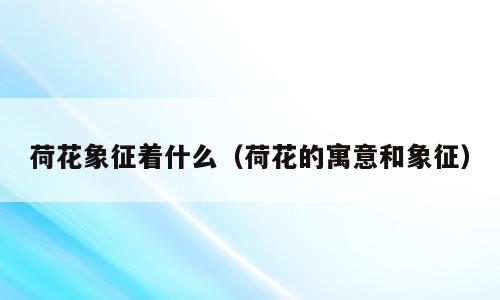 荷花象征着什么（荷花的寓意和象征）