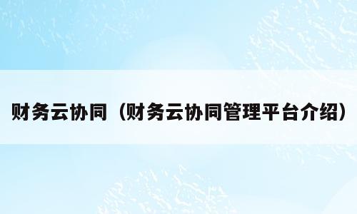 财务云协同（财务云协同管理平台介绍）