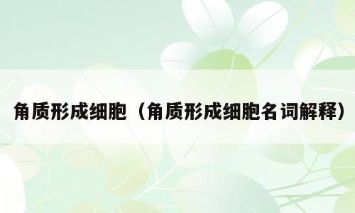 角质形成细胞（角质形成细胞名词解释）
